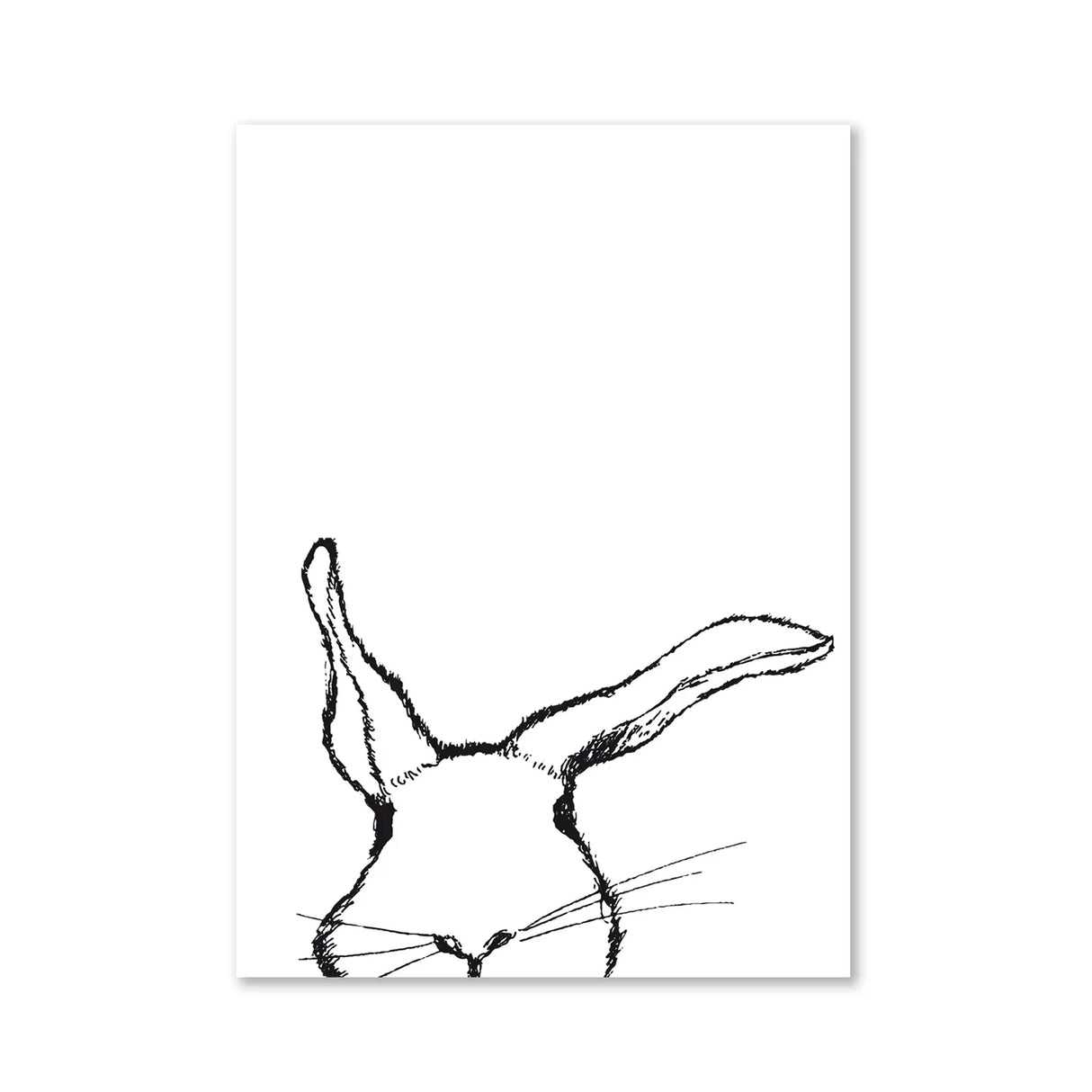 Hase - Magnet