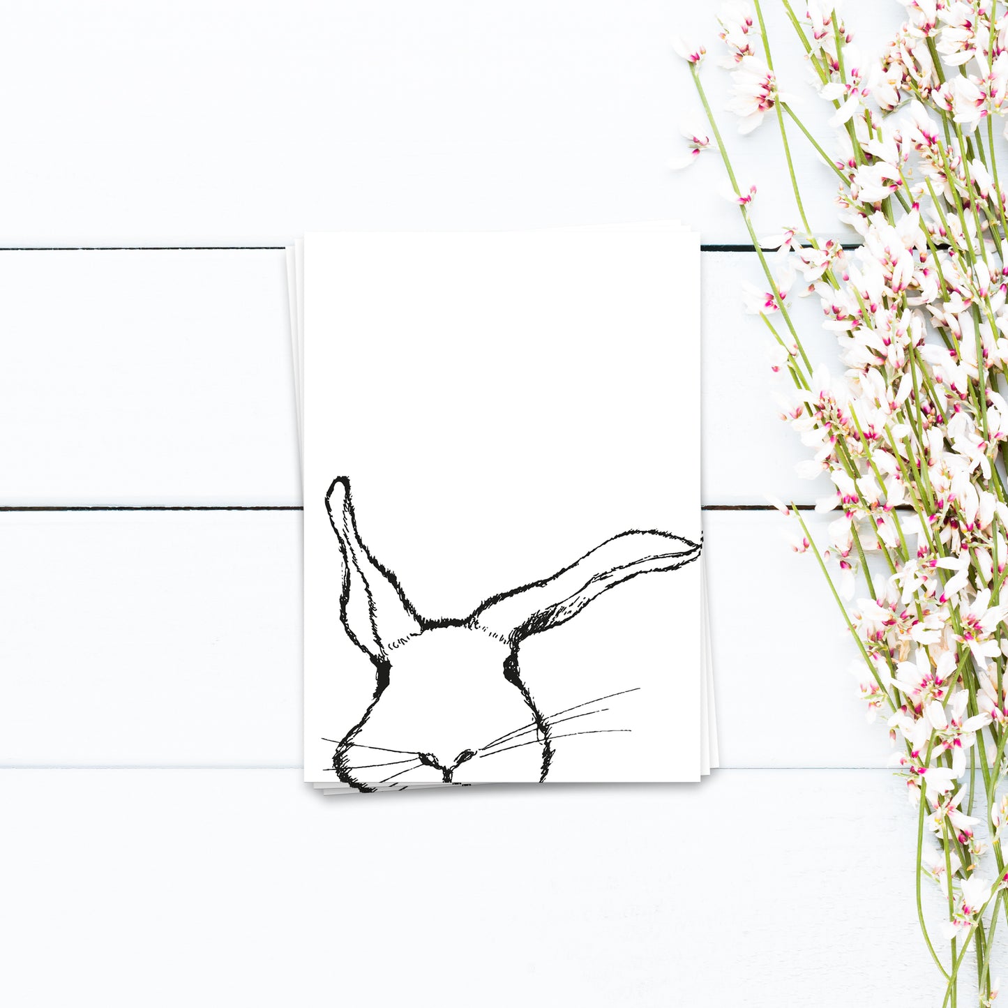 Hasen - Postkarte