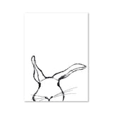 Hase - Magnet