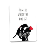 Home is where the dog is - Postkarte